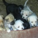 부여농장 이미지