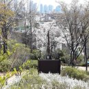 화곡로4길 이미지