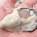 싱싱한하루 - 달성군 테크노상업로 46 | 싱싱한하루