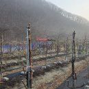 두루봉농원 이미지