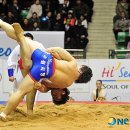 백마체육관 이미지