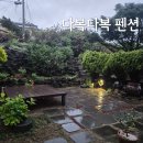 씨제이올리브영제주세화점 | 제주도 동쪽 가성비 숙소 추천 다복다복 펜션 후기