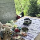 광덕 | 천안 광덕계곡 애견동반 평상, 광덕 취사 후기