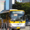 간선-39 네이버블로그
