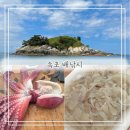 속초 배낚시 속초여행 가볼만한곳