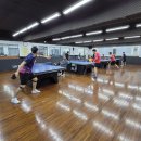 탁구1 | 1월 셋째 주 토요일, 오늘도핑퐁 1월 월례회 탁구시합 후기