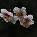 용산리 이미지