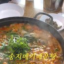 송지메기매운탕 네이버블로그