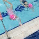 해달별유치원 이미지