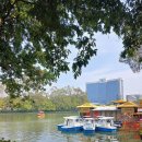 서호미술관 이미지