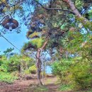 서광사 등산로 이미지