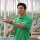 오이씨농장1 이미지