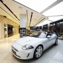 유케이모터스 이미지