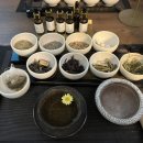 다니엘트루스 스타필드 수원점 퍼퓸 앙상블 투 수원 클래스 후기