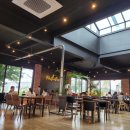 팍스디엠지 이미지