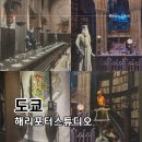 버터컵 스튜디오 | 도쿄 해리포터스튜디오 관람후기 버터맥주