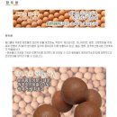 척추근육강화기 이미지