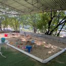 성주목장 이미지