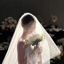 노보텔앰배서더강남 이미지