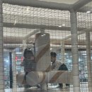 울산 놀이방 식당 쿠우쿠우 중구점 테이블링 예약 방문 후기