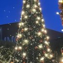 리츠펫 선물 이미지