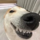 냥이의꿈 | 3일간의 꿈 같았던 여정 ⛧ : 루시 8th 단독콘서트 &lt;LUCID LINE&gt; 스탠딩 후기 ｜ 251107-09