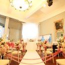 더그레이스2 이미지