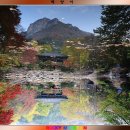 백양사진입로 이미지