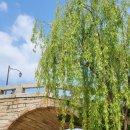 엘지전자(주)논산지점 | 논산 션샤인스튜디오 방문기: 미스터 션샤인의 장면을 떠올린다.