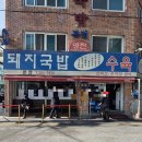 진심담은김치 | 사하구 맛집 '영진돼지국밥 본점' 진심을 담은 수육백반 [솔직후기]