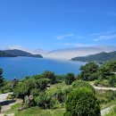 연서 ...........프란체스카 리 시 (이승만 대통령 부인) 이미지