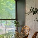 슬로울리인무학 티스토리