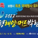 보령스포츠파크 이미지