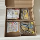 명성유치원 | [공구 OPEN] 집에서 즐기는 미국 유치원 "에그스쿨"