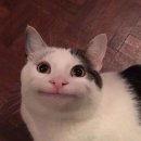 카페유나 이미지