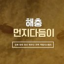 종도건어물 이미지