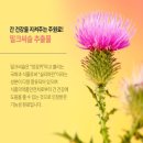 플러스건강기능