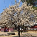 월곡역사공원 이미지