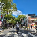 유정세탁소 | 25년 10월 일기