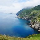 바람이 좋은 저녁 이미지