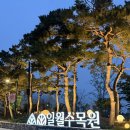 밤빛 | [수원] 가볼만한곳 5월 야간개장 시간 입장료 후기 ’일월수목원 밤빛정원‘