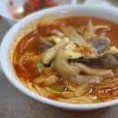 목화반점 이미지