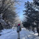 소백산 겨울 눈꽃산행 :) 죽령탐방센터~제2연화봉~천문대~연화봉