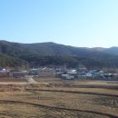 주수1리 Daum카페