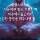 물멍스테이 이미지