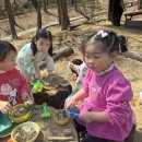 아이큰숲어린이집 이미지