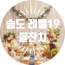 샤이나프로헤어 | 송도 오라카이 레벨19 소규모돌잔치
