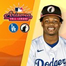 다저스호프 이미지