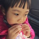 마리웨일 이미지