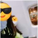 미스터크린원 이미지